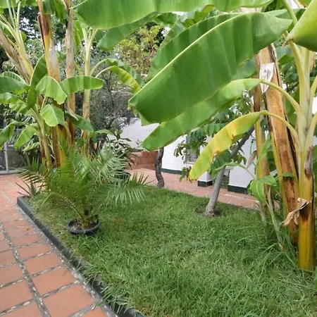 - Casa Vivi 12 Prázdninový dům Nerja